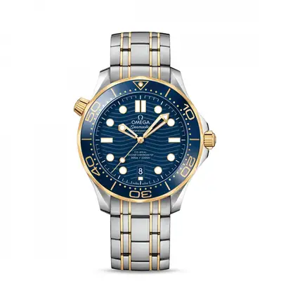 Omega Seamaster 210.20.42.20.03.001