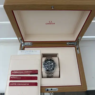 Omega Seamaster Diver