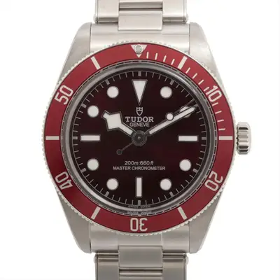 Tudor black bay 58 7939A1A0RU SS