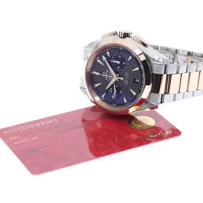 Omega Seamaster 231.20.43.52.06.001