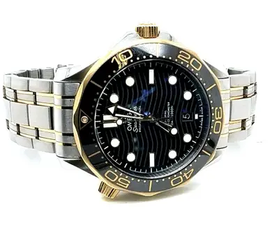 Omega SEAMASTER DIVER 21020422001002