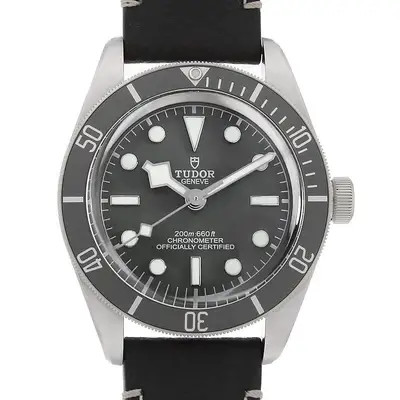 Tudor Black Bay 79010SG