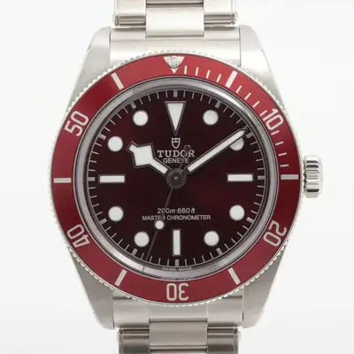 Tudor black bay 58 7939A1A0RU SS
