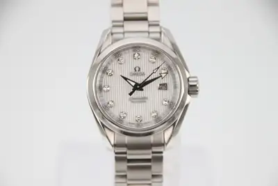 Omega Seamaster 231.10.30.61.55.001