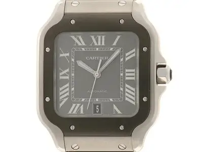Cartier Santos de LM WSSA0037 Stainless
