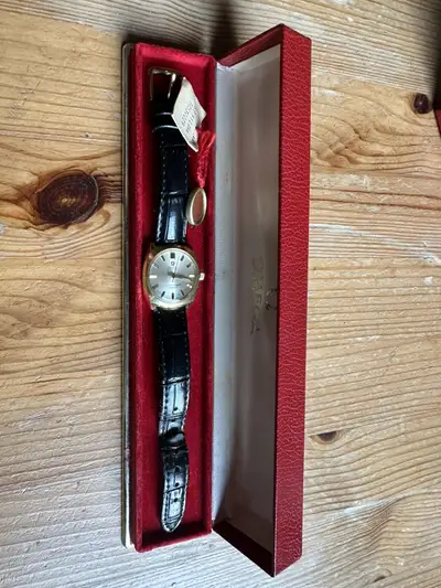 Omega Seamaster Cosmic