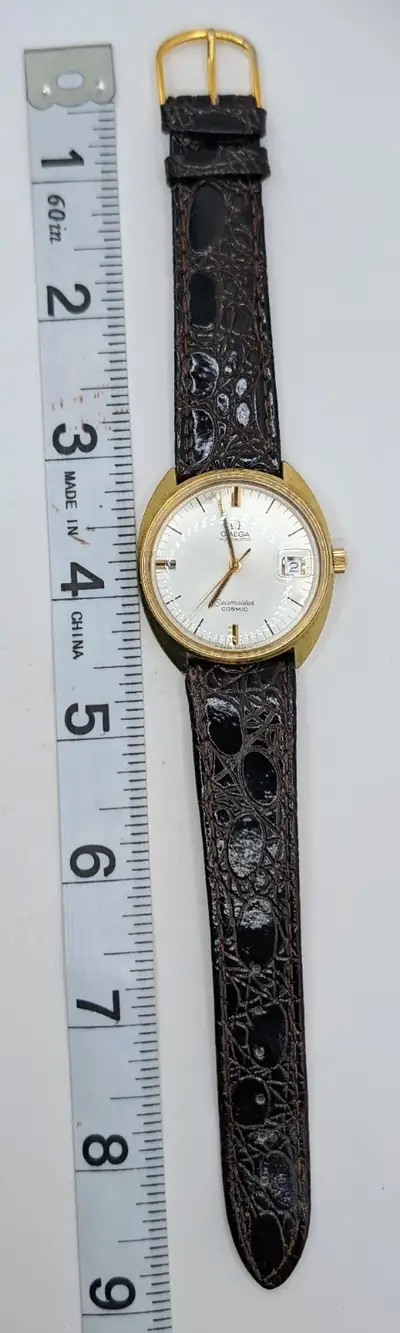 Omega Seamaster Cosmic Running