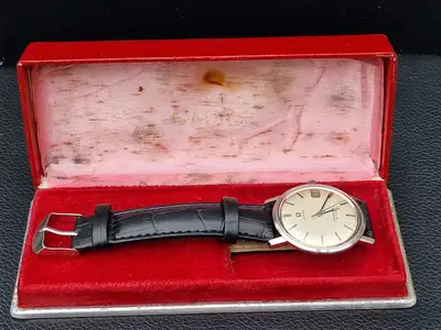 Omega Seamaster 136.010