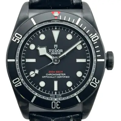 Tudor Black Bay 79230DK