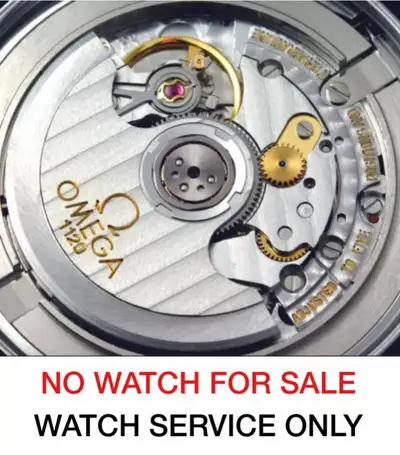 Omega Service Repair Free Polish 1 Year