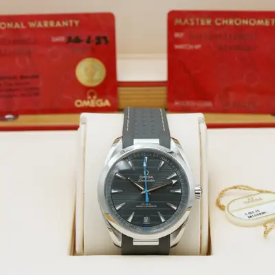 Omega Aqua Terra 220.12.41.21.03.002