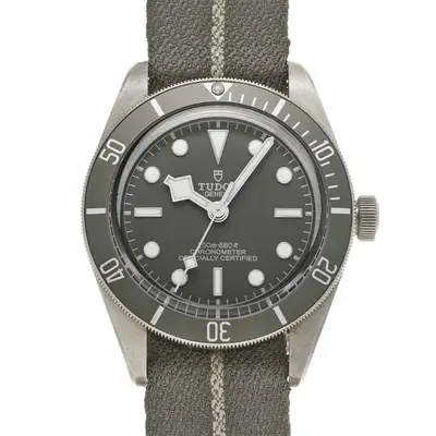Tudor Black Bay 79010SG