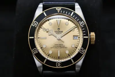 Tudor Black Bay 79733