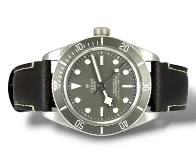 Tudor Black Bay 79010SG