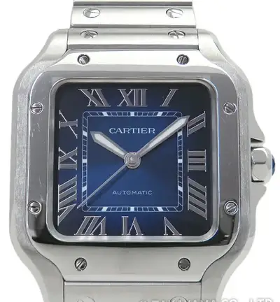 Cartier Santos de Cartier Medium Model