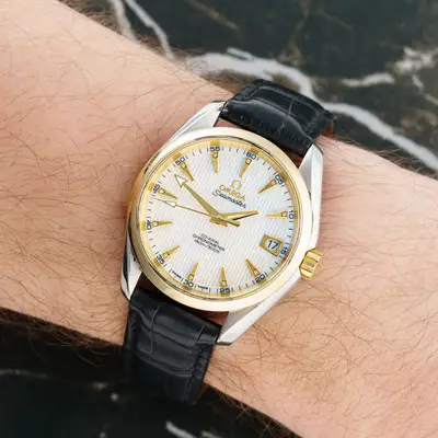 Omega Aqua Terra 231.23.39.21.55.002