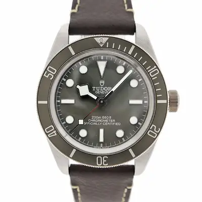 Tudor Black Bay 79010SG