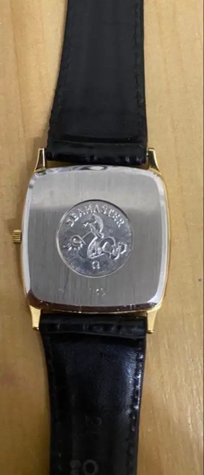 Omega Seamaster TV Screen Stainless Steel/GPxLeather
