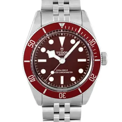 Tudor Black Bay 58 7939A1A0RU SS