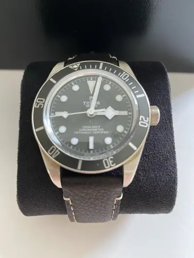 Tudor Black Bay 79010SG
