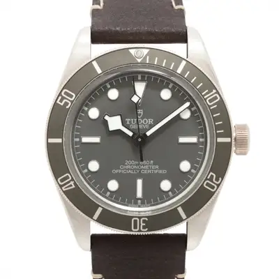 Tudor Black Bay 79010SG