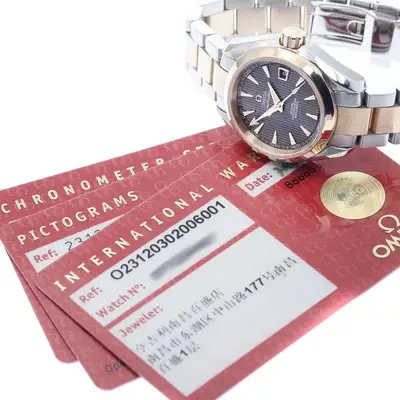 Omega Seamaster 231.20.30.20.06.001