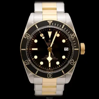 Tudor Black Bay 79733