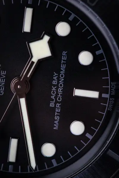 Tudor Black Bay 79210
