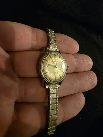 Omega Seamaster Ladymatic Analog Date Silver