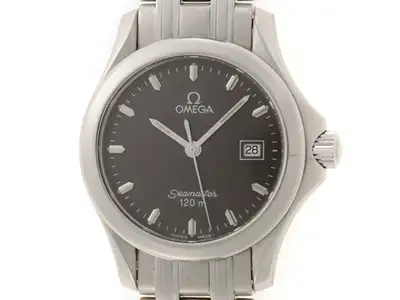 Omega Seamaster Stainless Steel #DW858