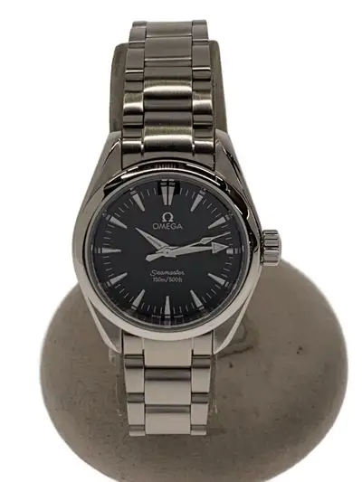 Omega Seamaster Analog Stainless Steel Silver