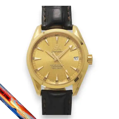 Omega Seamaster 231.53.39.21.08.001