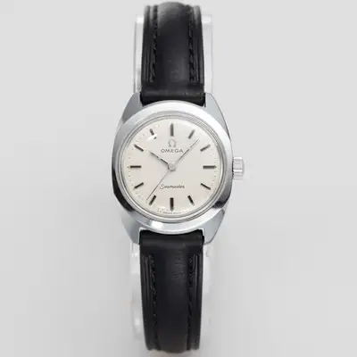 Omega Seamaster Silver Mini