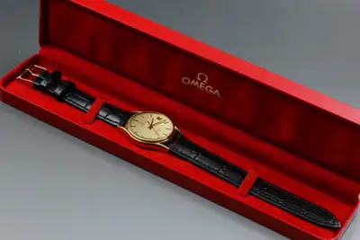 Omega Seamaster 196.0281