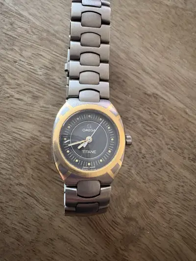 Omega seamaster titanium