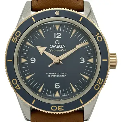 Omega Seamaster 233.62.41.21.03.001