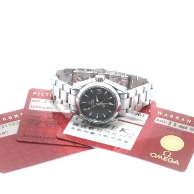 Omega Seamaster 231.10.30.20.06.001