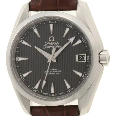 Omega Seamaster 231.13.36.21.06.001