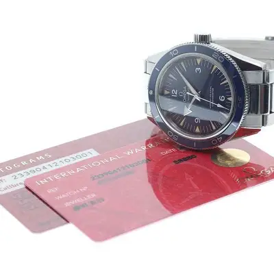 Omega Seamaster 233.90.41.21.03.001