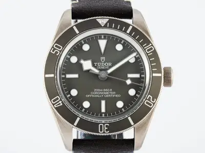 Tudor Black Bay 79010SG