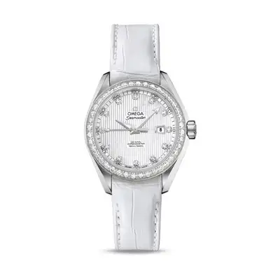 Omega Seamaster 231.18.34.20.55.001
