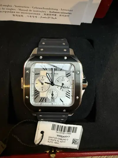 Cartier Santos Silver Rubber Strap WSSA0017