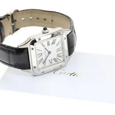 Cartier SANTOS-DUMONT SM WSSA0086 SS Silver