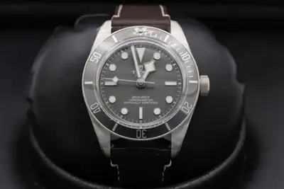 Tudor Black Bay 79010