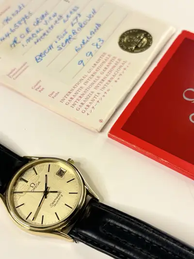 Omega Seamaster 196.0281