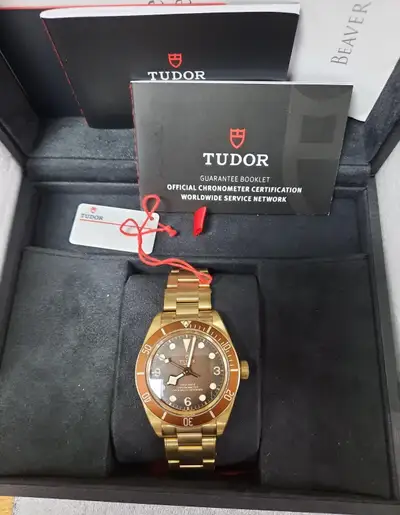 Tudor Black Bay Bronze M79012M-0001 (limited
