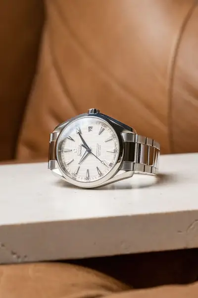 Omega Aqua Terra 231.10.42.21.02.003