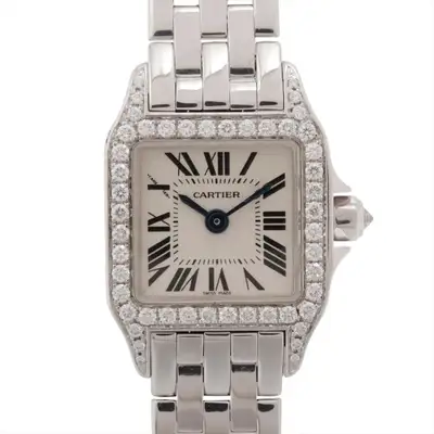 Cartier Santos Demoiselle WF9005Y8 WG WG