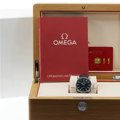 Omega Seamaster 220.13.38.20.03.001