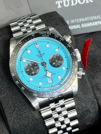 Tudor black bay chronograph Flamingo
